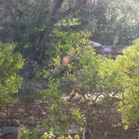 Ligurisches Rustico, Umgeben Von Olivenhainen Am Dorfrand Tatil Evi Imperia