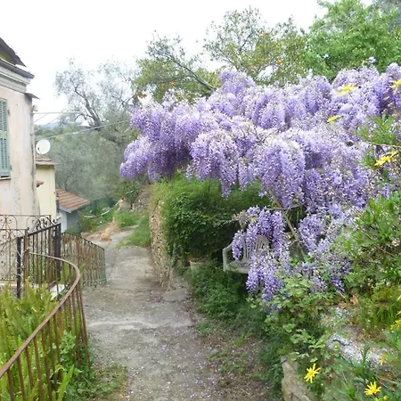 Tatil Evi Ligurisches Rustico, Umgeben Von Olivenhainen Am Dorfrand Imperia