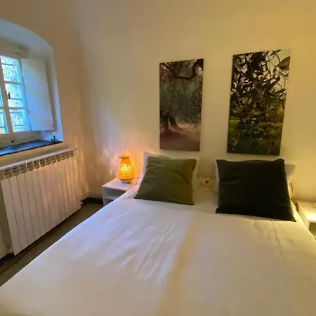Ligurisches Rustico, Umgeben Von Olivenhainen Am Dorfrand *