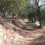 펜션 Ligurisches Rustico, Umgeben Von Olivenhainen Am Dorfrand