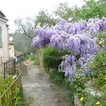펜션 Ligurisches Rustico, Umgeben Von Olivenhainen Am Dorfrand 임페리아