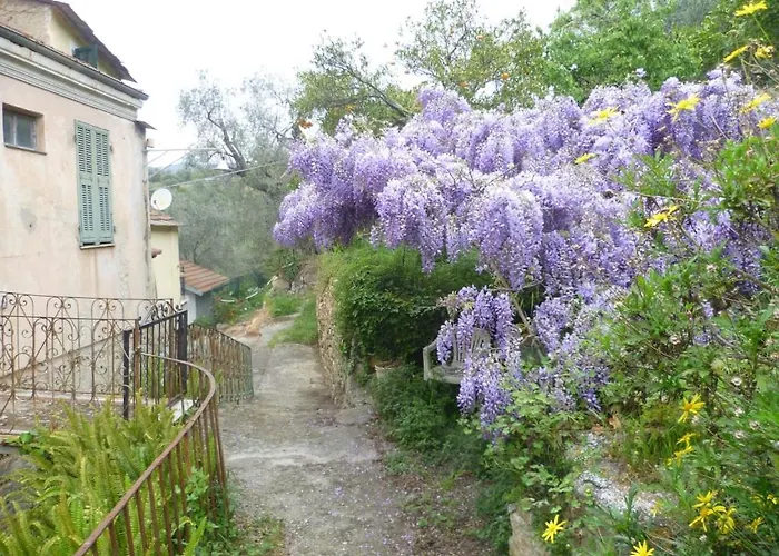 Prázdninový dům Ligurisches Rustico, Umgeben Von Olivenhainen Am Dorfrand Imperia